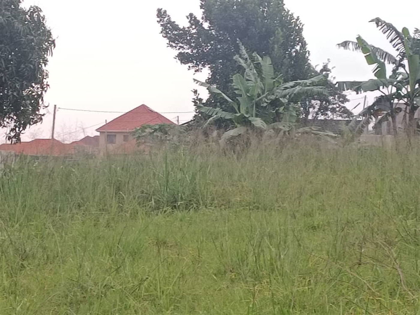 Residential Land for sale in Nabusugwe Wakiso