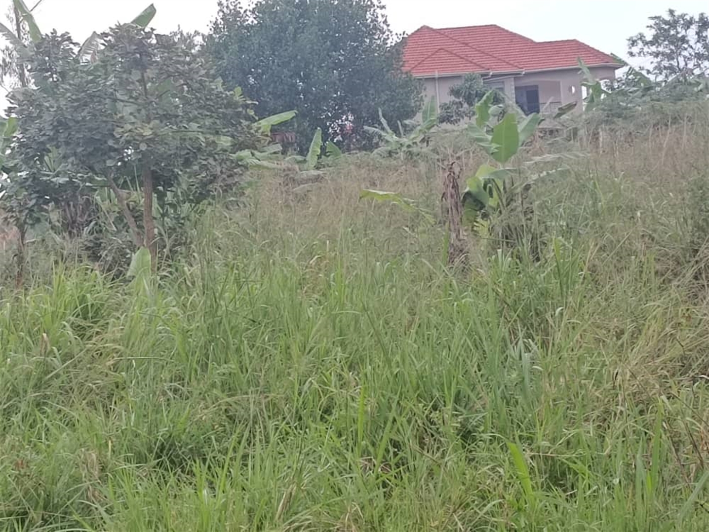 Residential Land for sale in Nabusugwe Wakiso