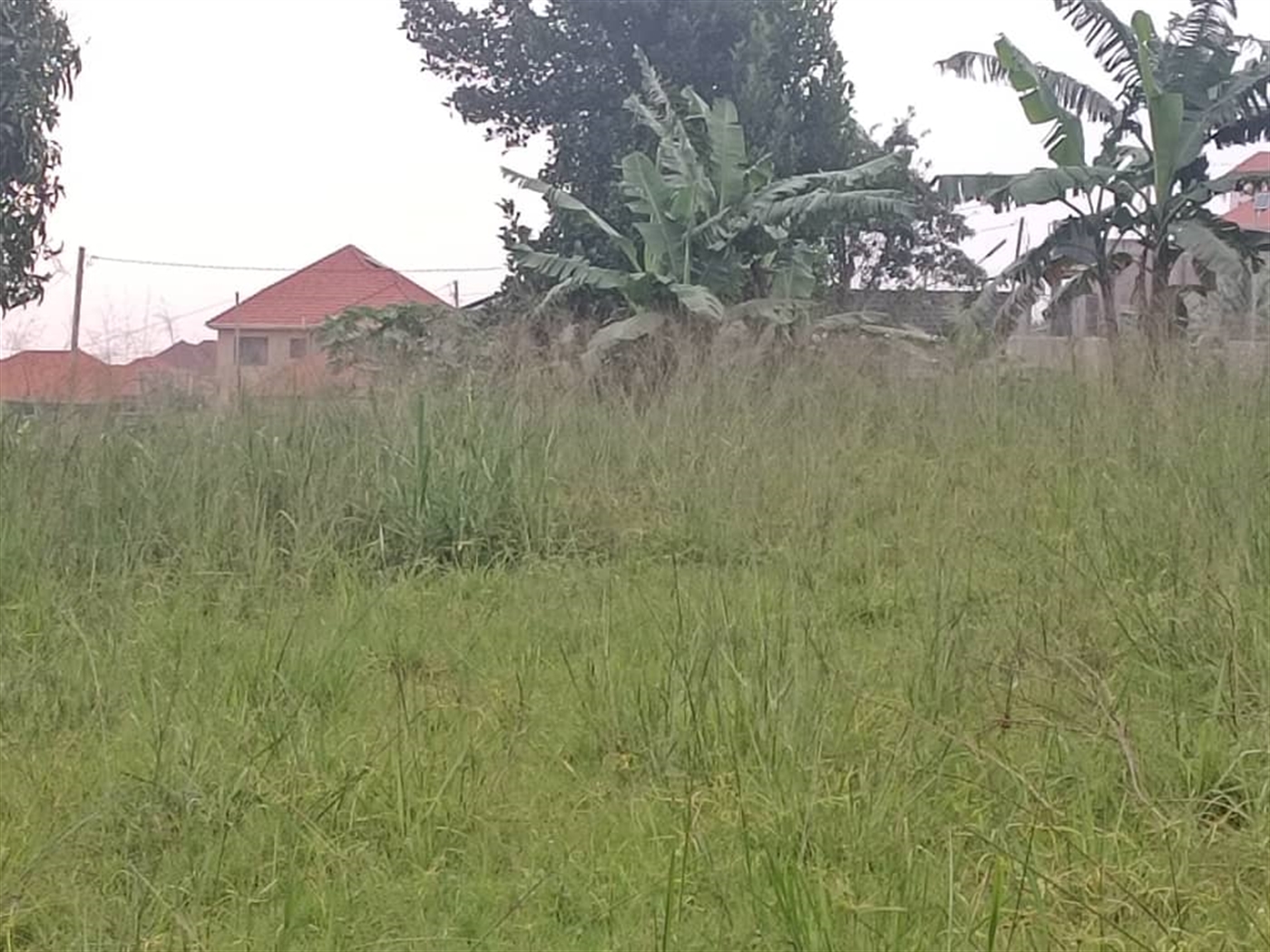 Residential Land for sale in Nabusugwe Wakiso