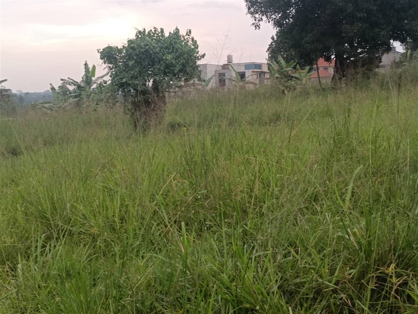 Residential Land for sale in Nabusugwe Wakiso