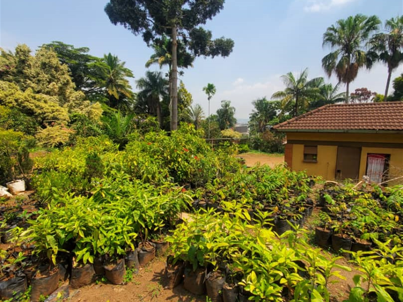 Residential Land for sale in Lweza Wakiso