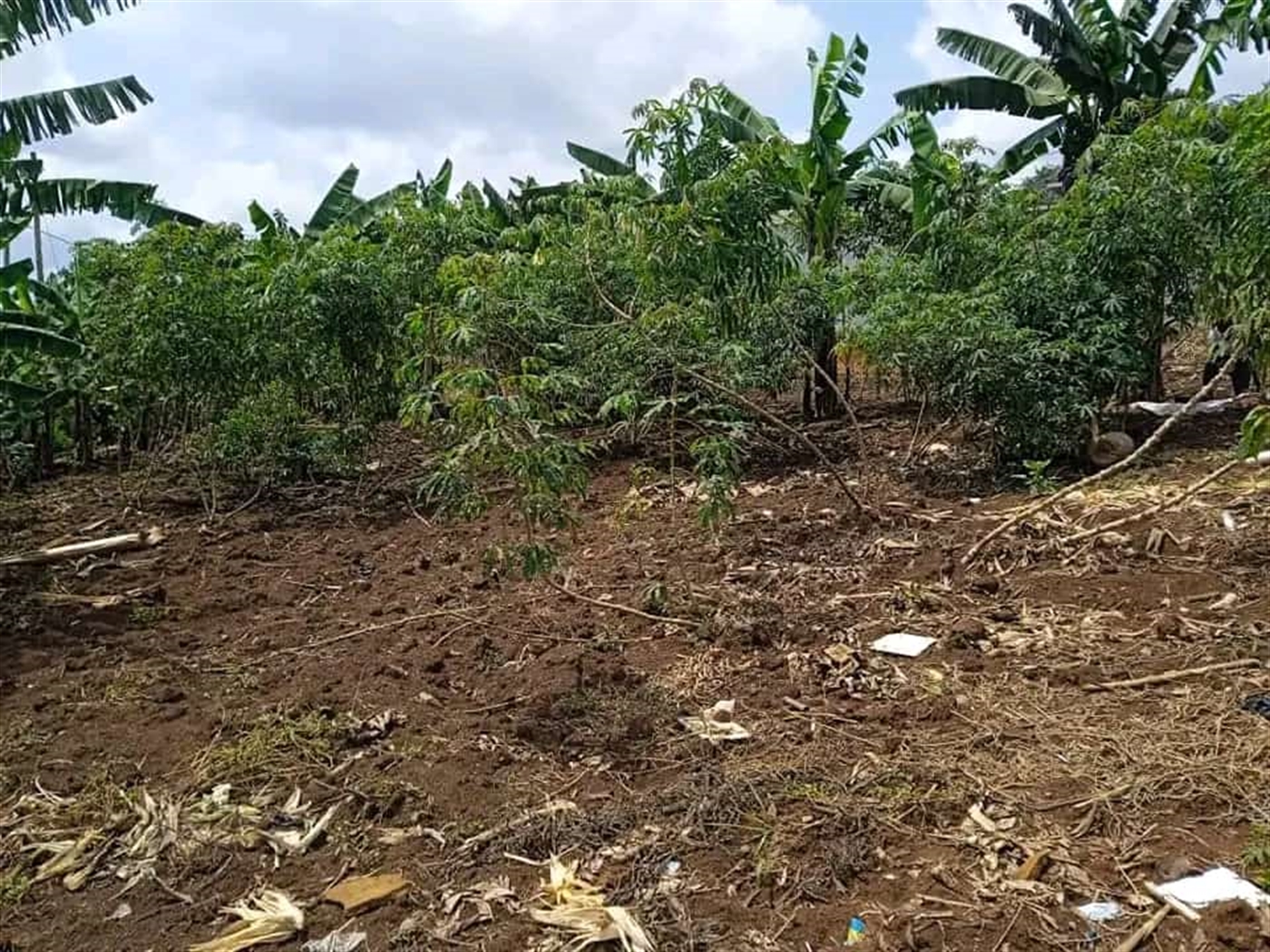 Residential Land for sale in Namugongo Wakiso