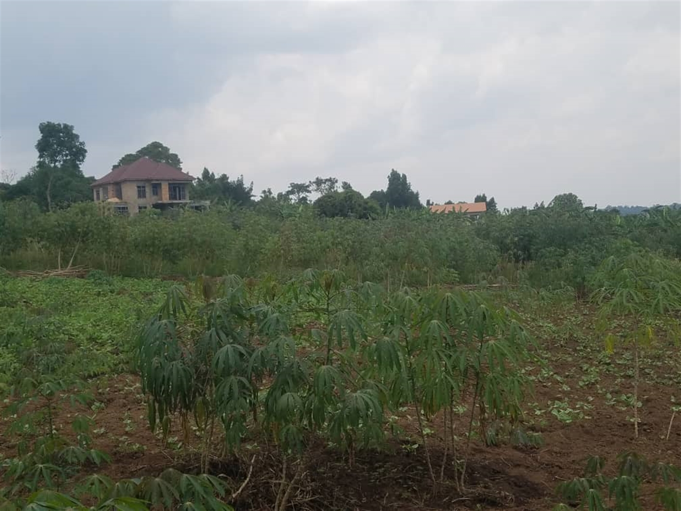 Residential Land for sale in Kiwenda Wakiso