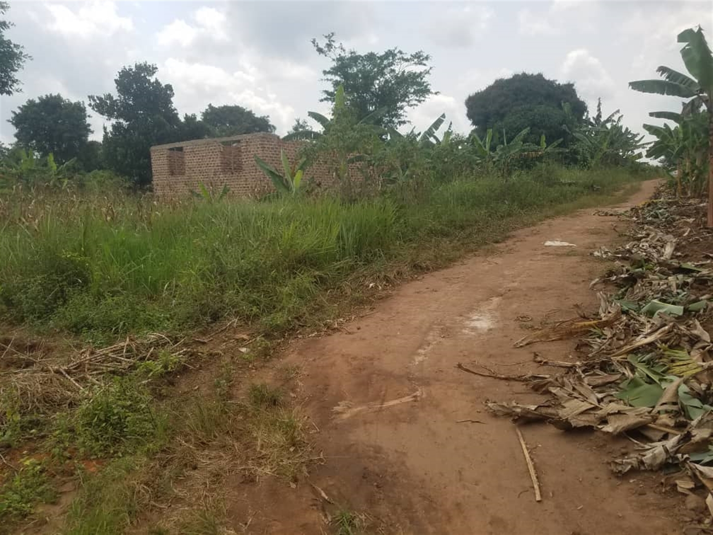 Residential Land for sale in Kiwenda Wakiso