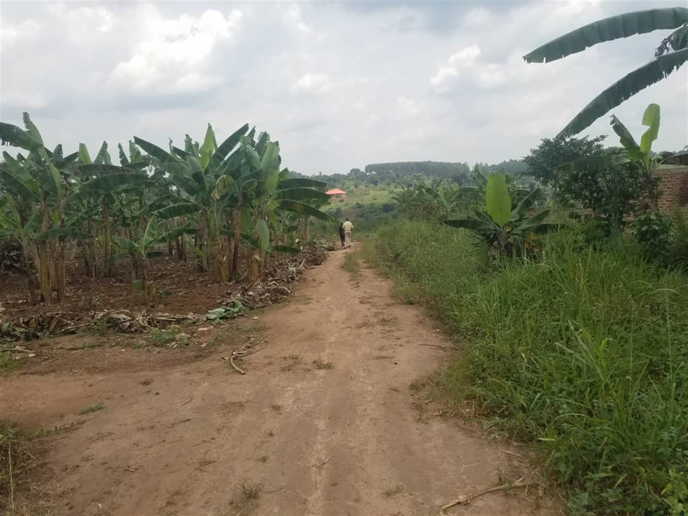 Residential Land for sale in Kiwenda Wakiso