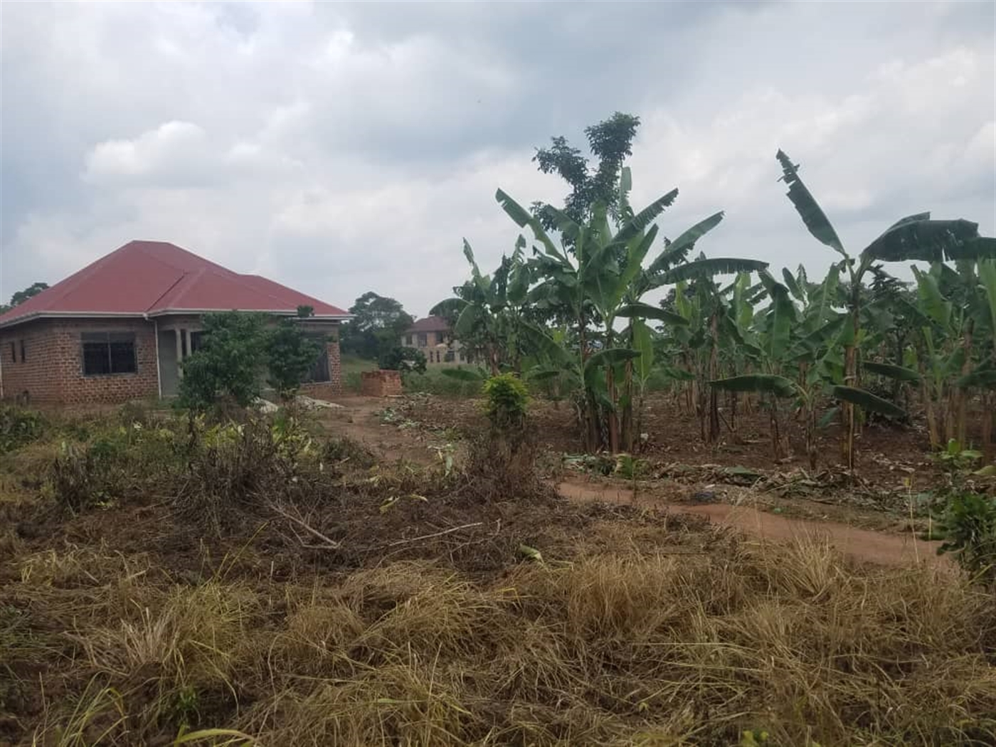 Residential Land for sale in Kiwenda Wakiso