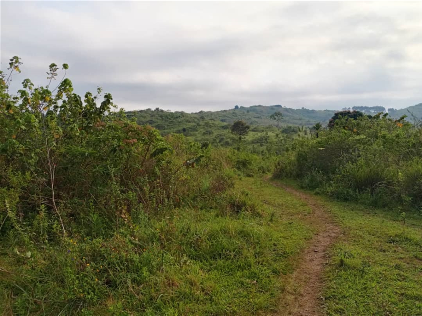 Residential Land for sale in Kitende Wakiso