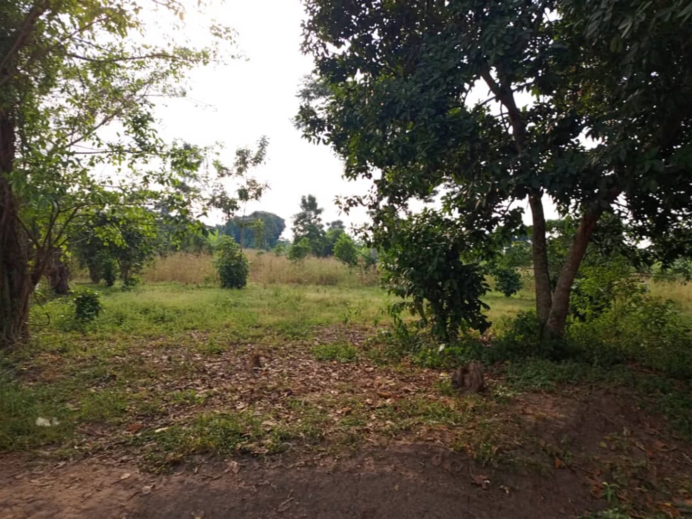 Residential Land for sale in Kitende Wakiso