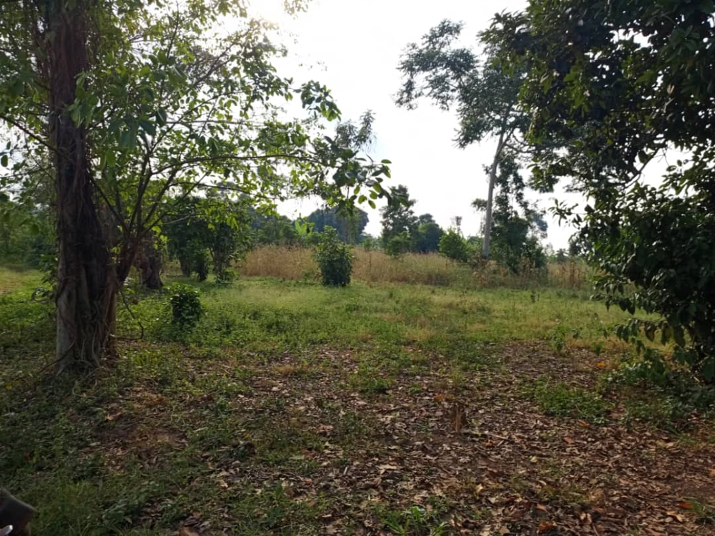 Residential Land for sale in Kitende Wakiso