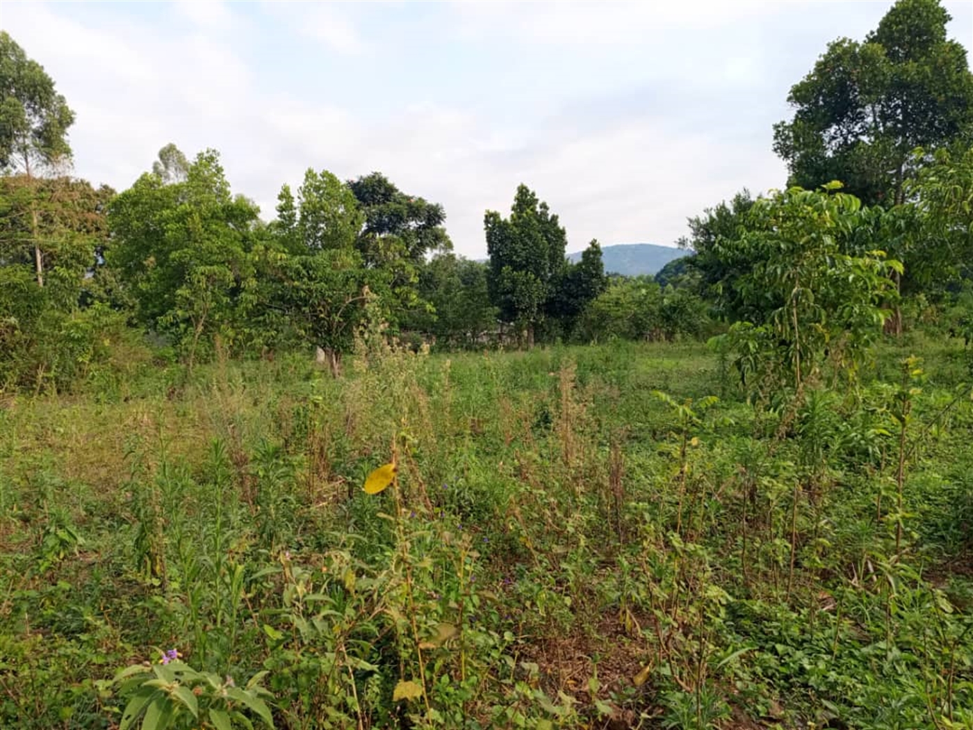 Residential Land for sale in Kitende Wakiso