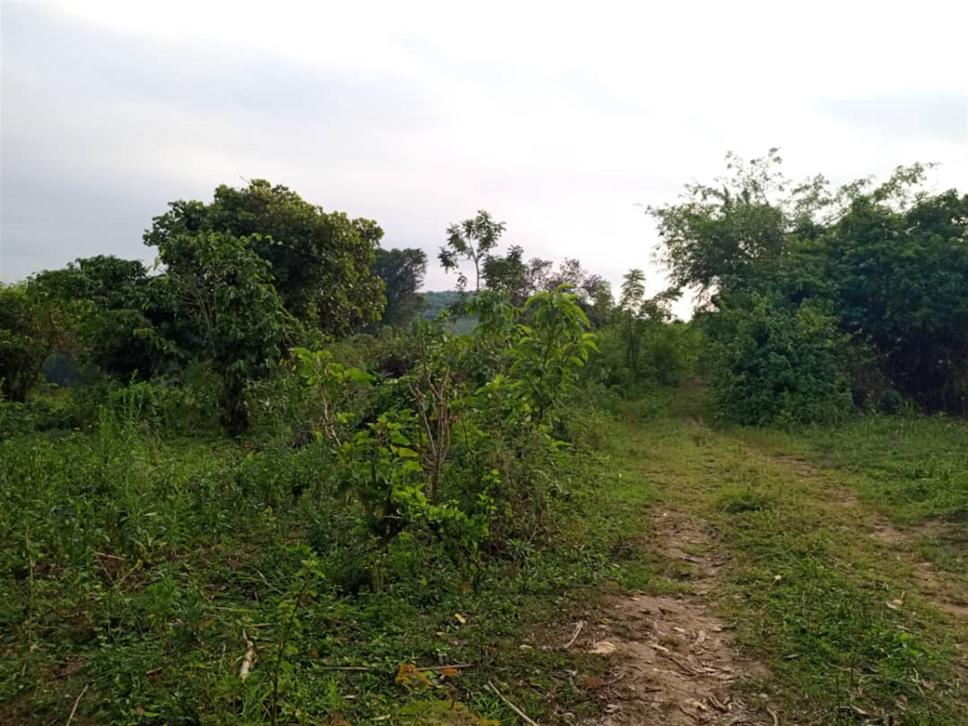 Residential Land for sale in Kitende Wakiso