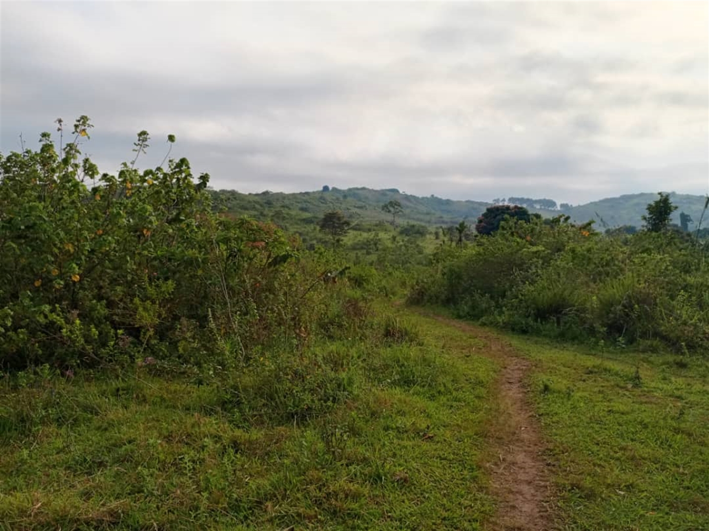 Residential Land for sale in Kitende Wakiso