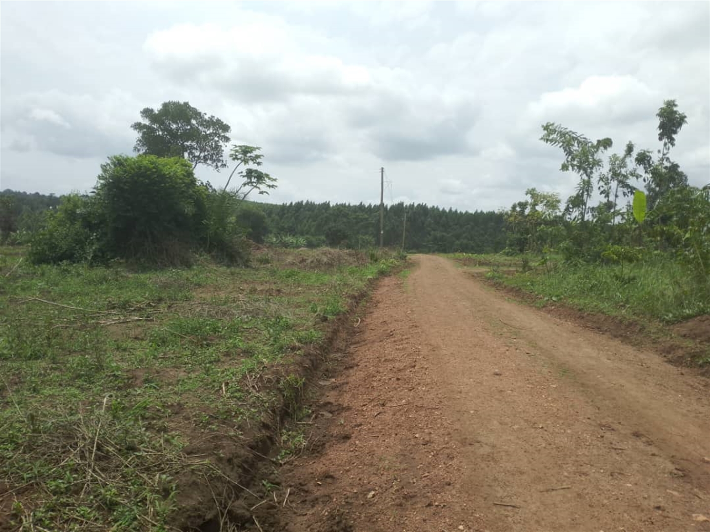 Residential Land for sale in Busiika Wakiso