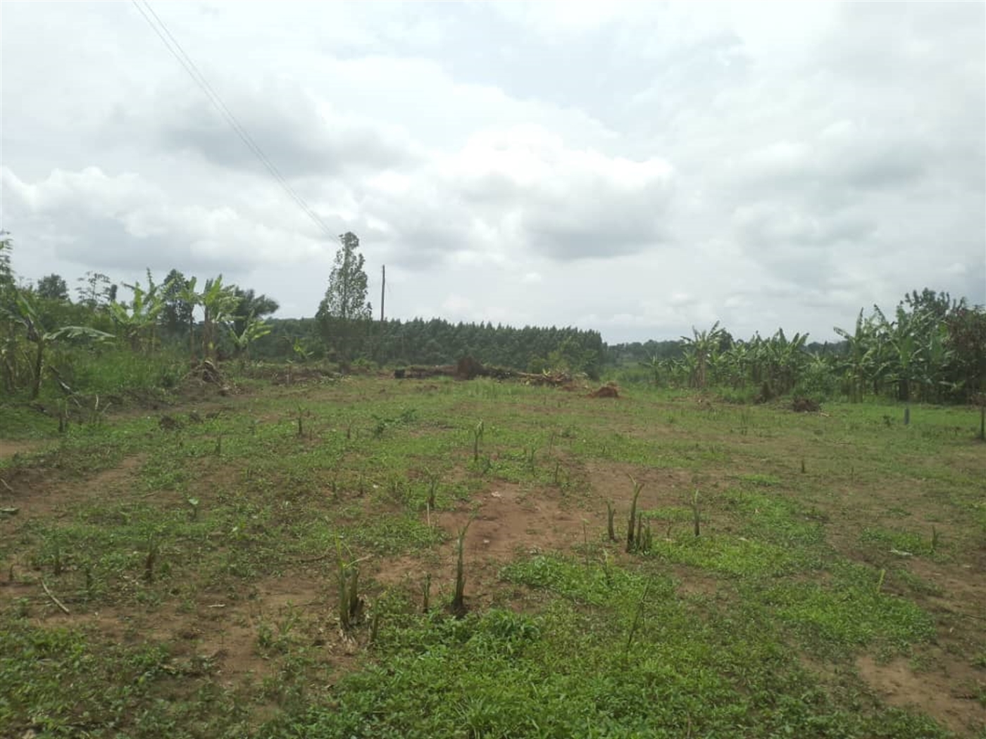 Residential Land for sale in Busiika Wakiso