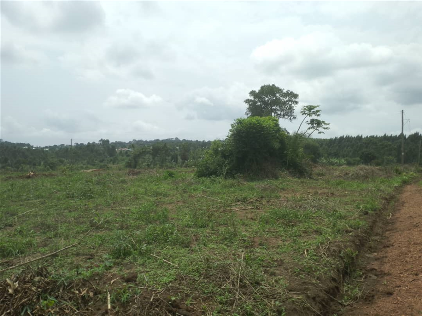 Residential Land for sale in Busiika Wakiso