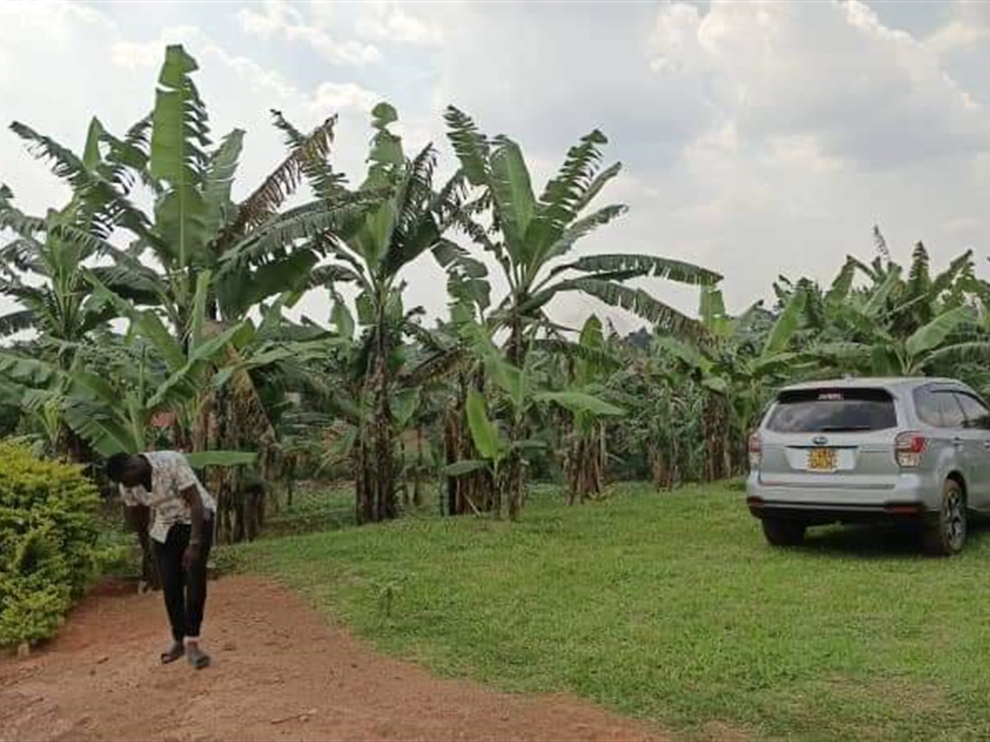 Bungalow for sale in Matugaa Wakiso