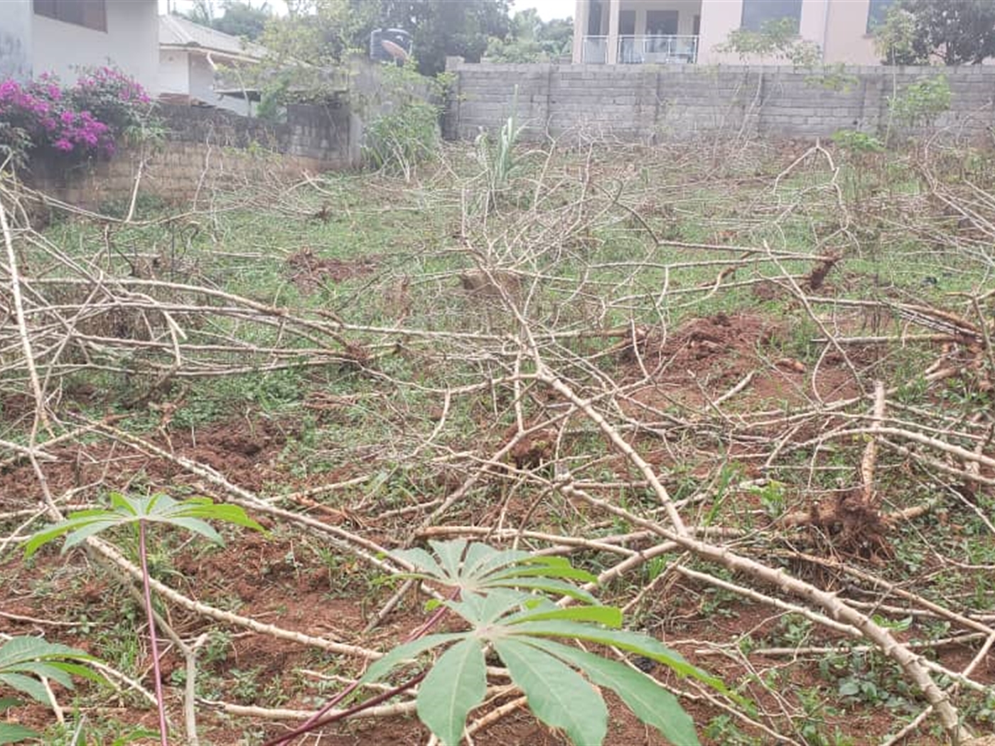 Residential Land for sale in Bwebajja Wakiso