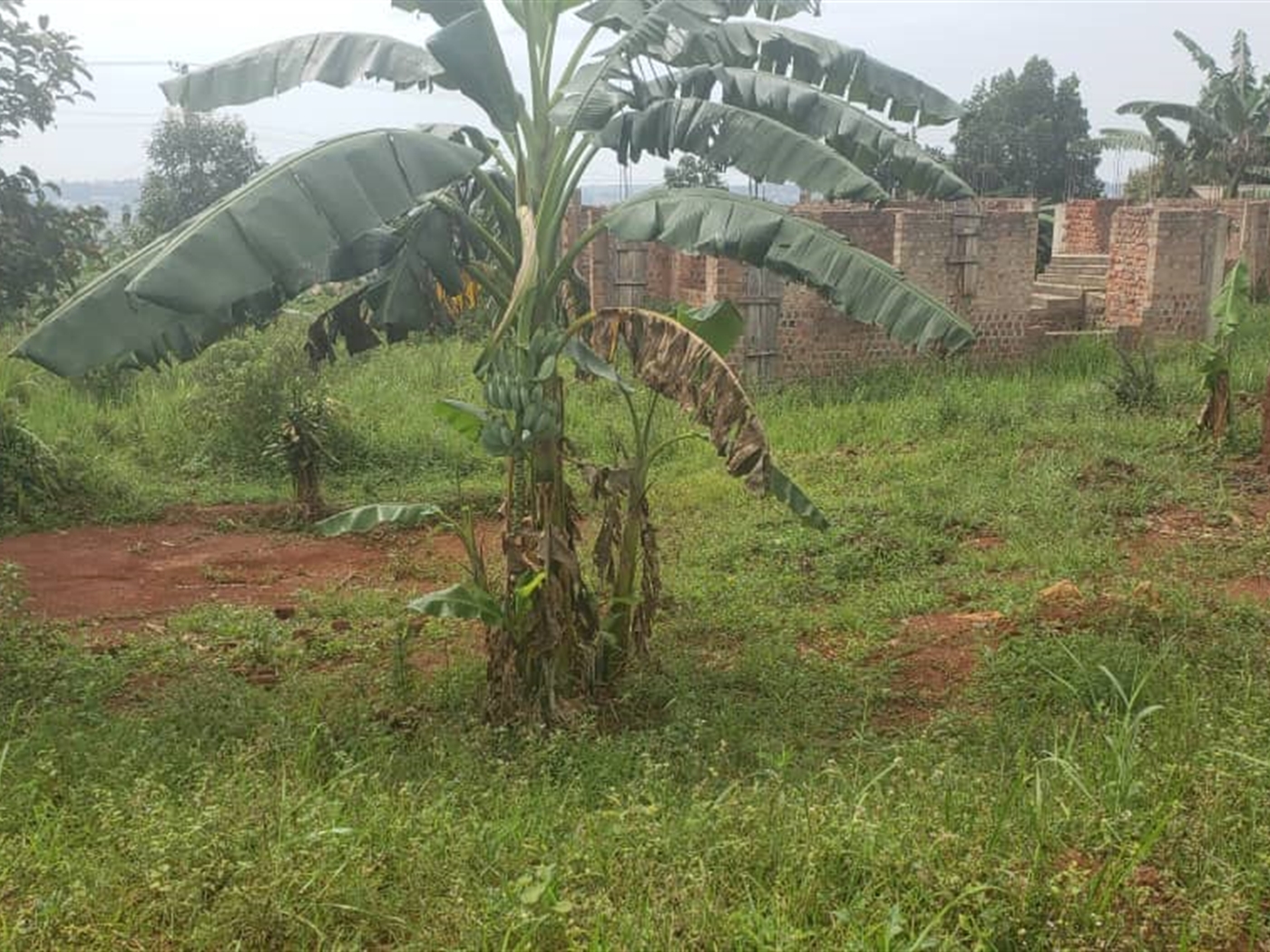 Residential Land for sale in Wamala Wakiso