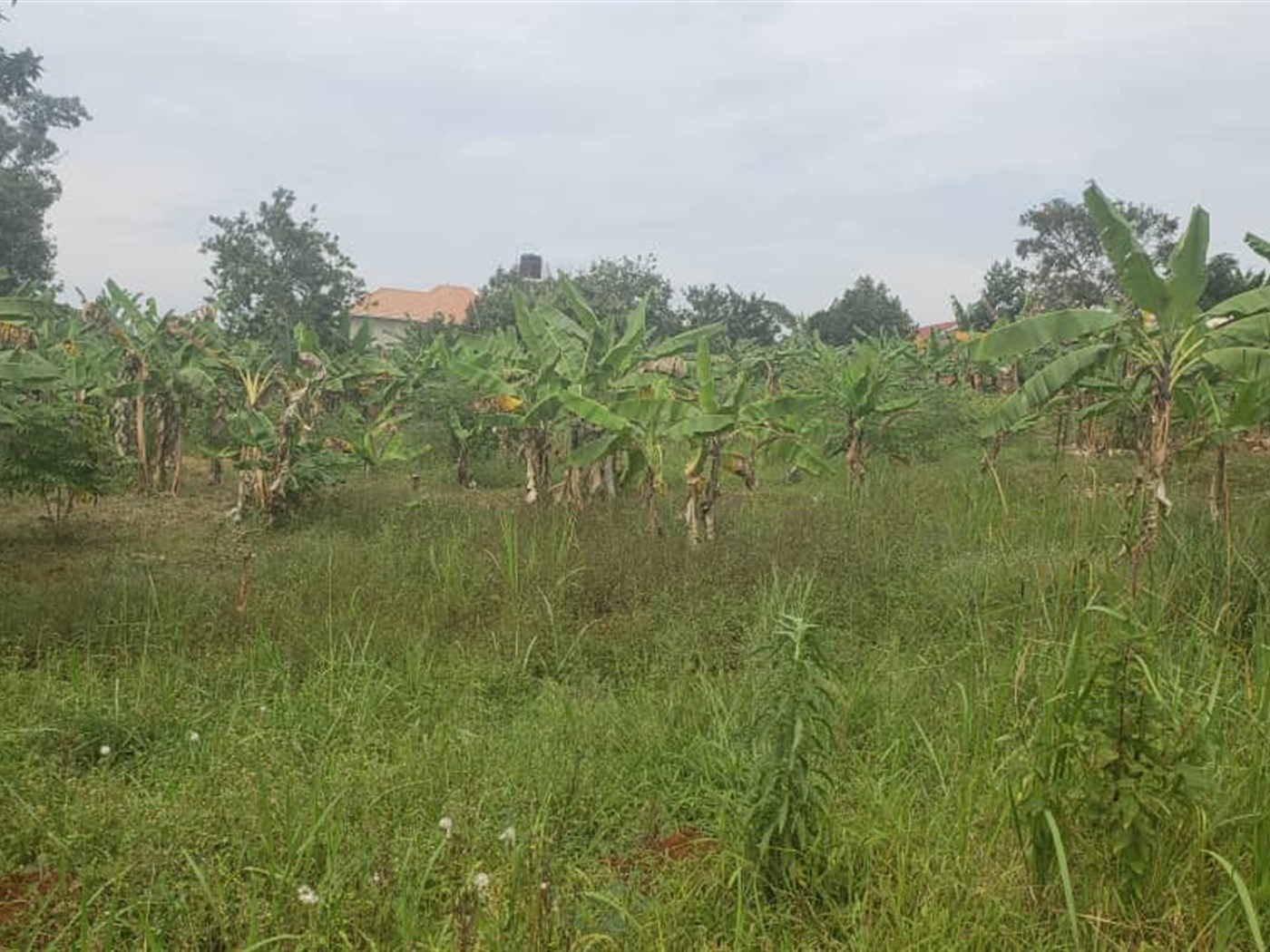 Residential Land for sale in Wamala Wakiso