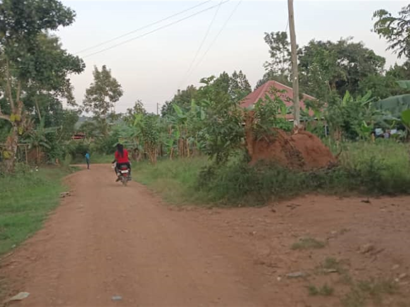 Residential Land for sale in Busukuma Wakiso