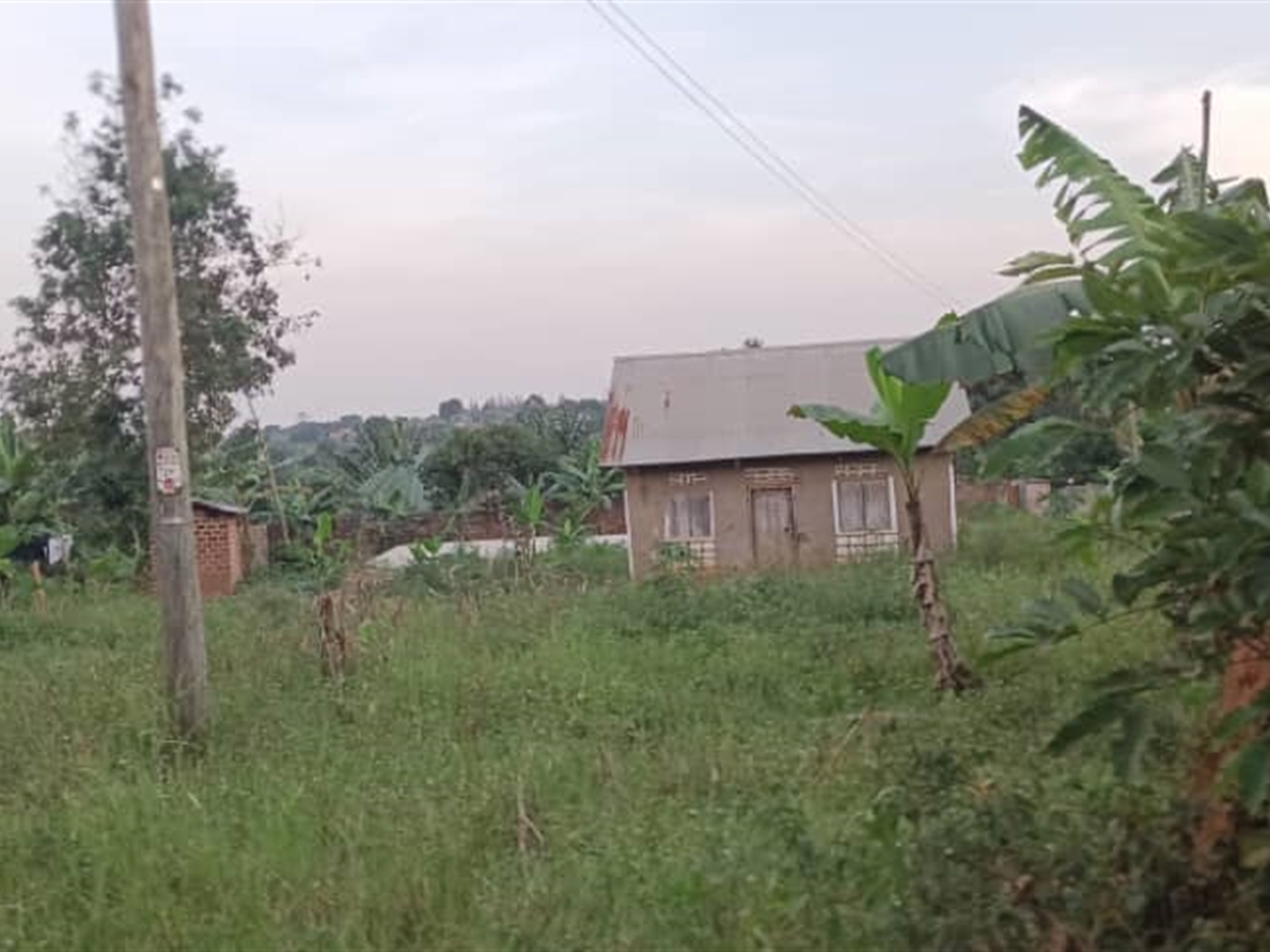 Residential Land for sale in Busukuma Wakiso