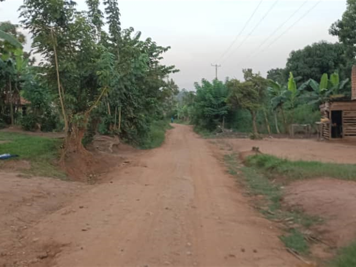 Residential Land for sale in Busukuma Wakiso