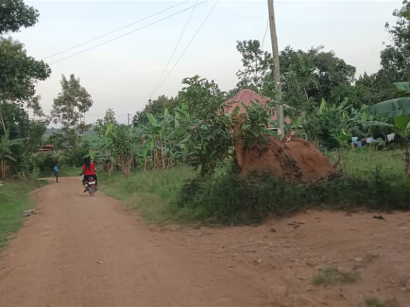 Residential Land for sale in Busukuma Wakiso