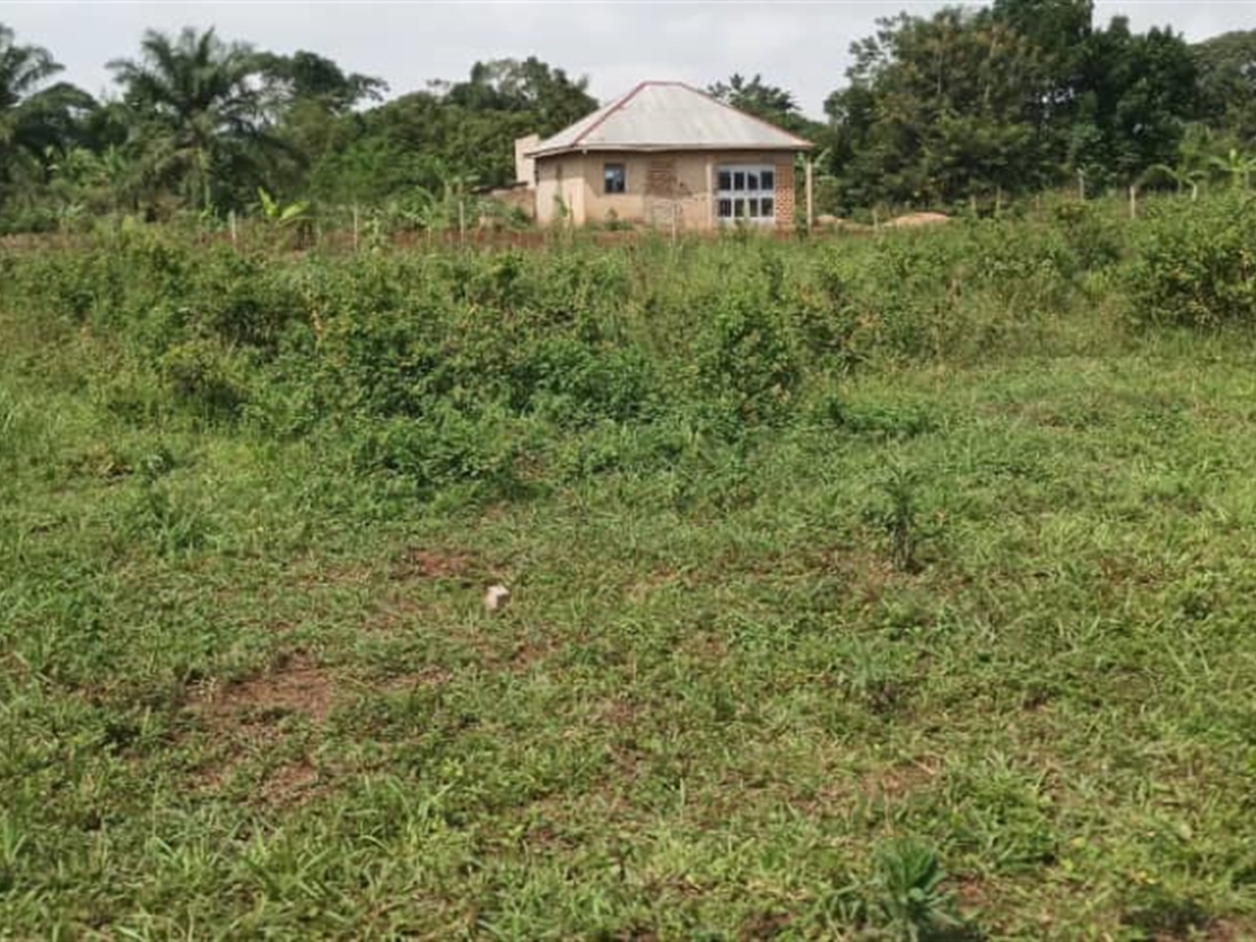 Residential Land for sale in Busiika Wakiso