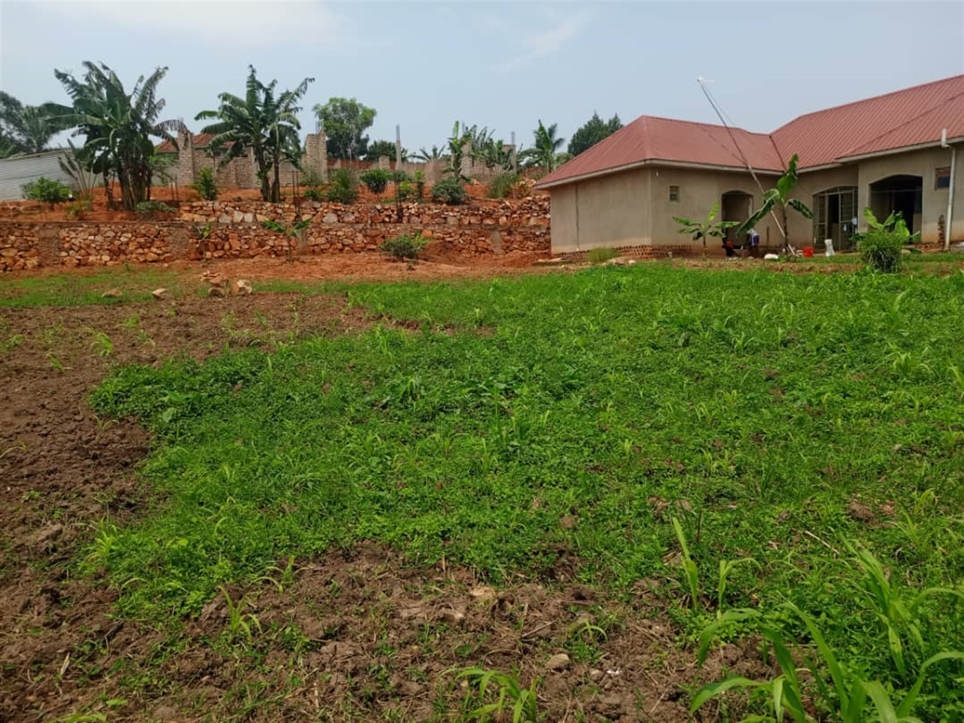 Residential Land for sale in Gayaza Wakiso