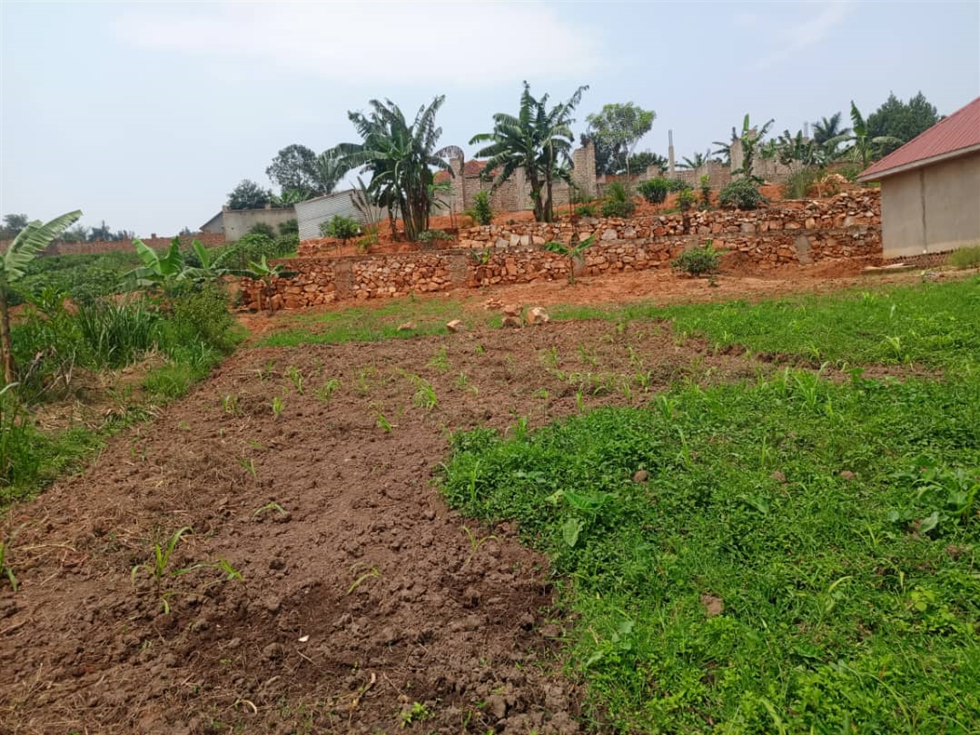 Residential Land for sale in Gayaza Wakiso