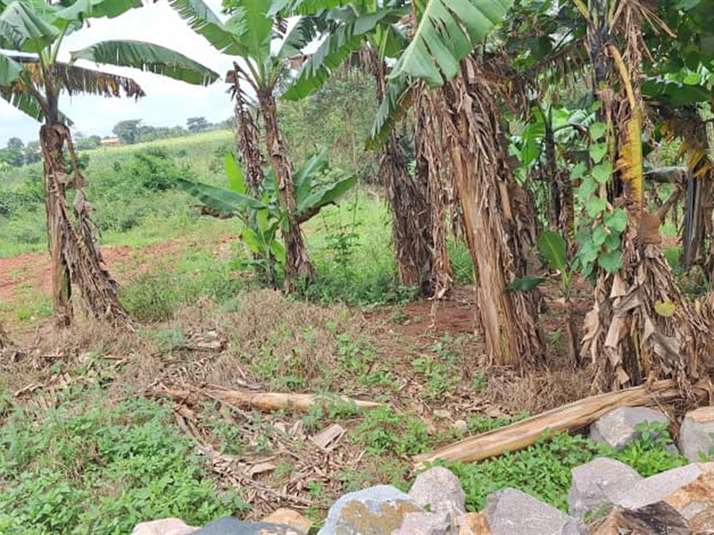 Residential Land for sale in Kira Wakiso