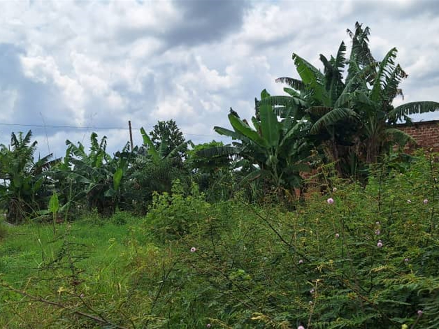 Residential Land for sale in Kira Wakiso