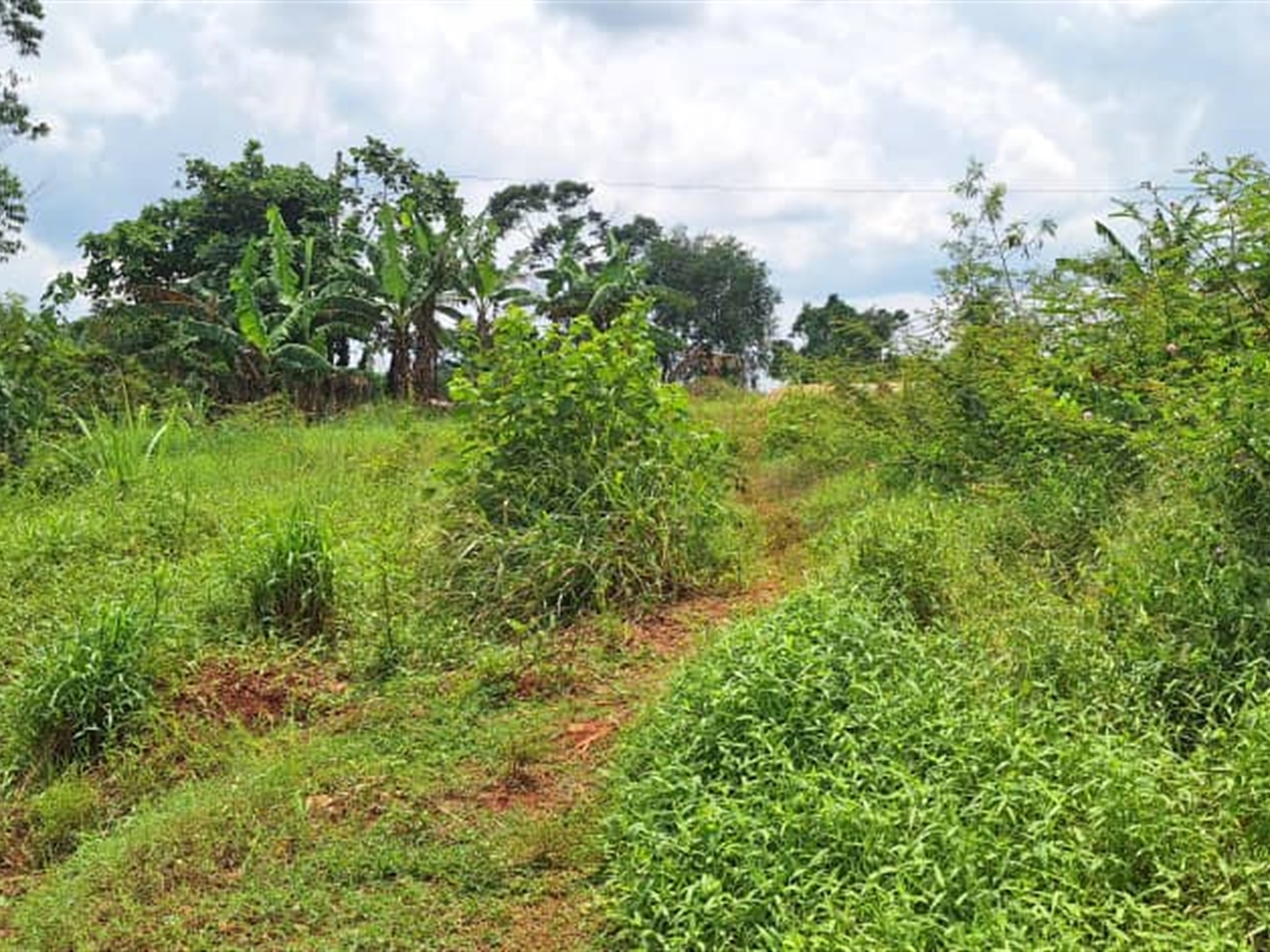 Residential Land for sale in Kira Wakiso