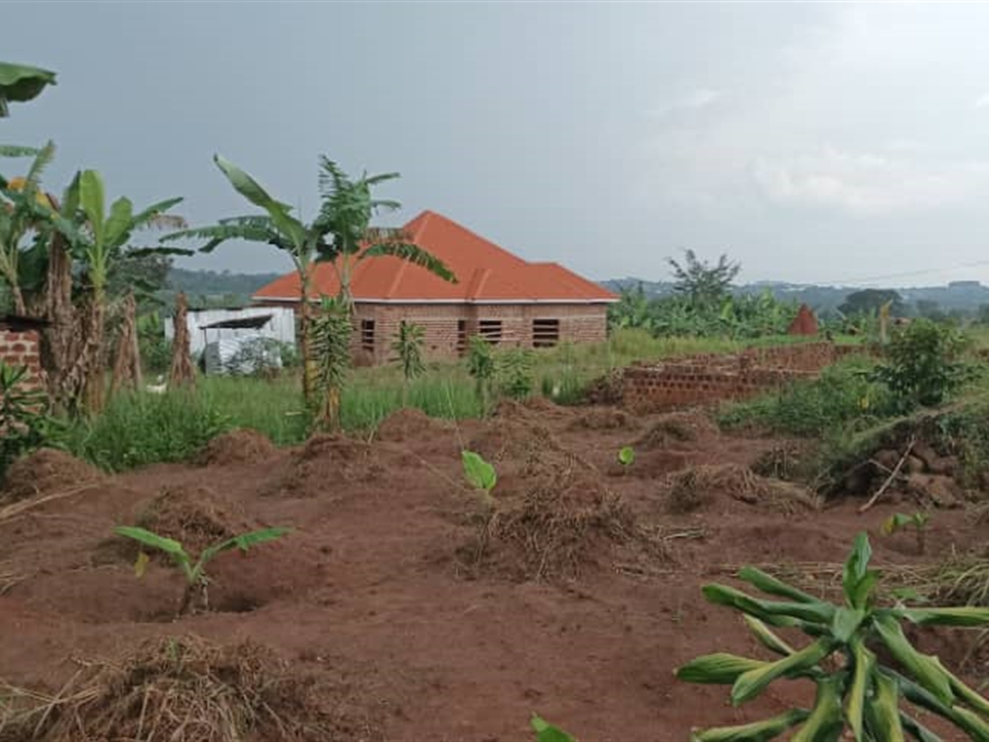 Residential Land for sale in Namulonge Wakiso