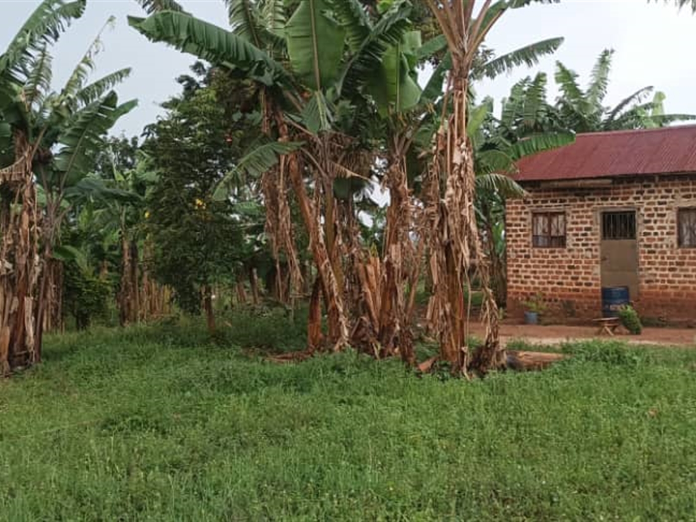 Residential Land for sale in Namulonge Wakiso