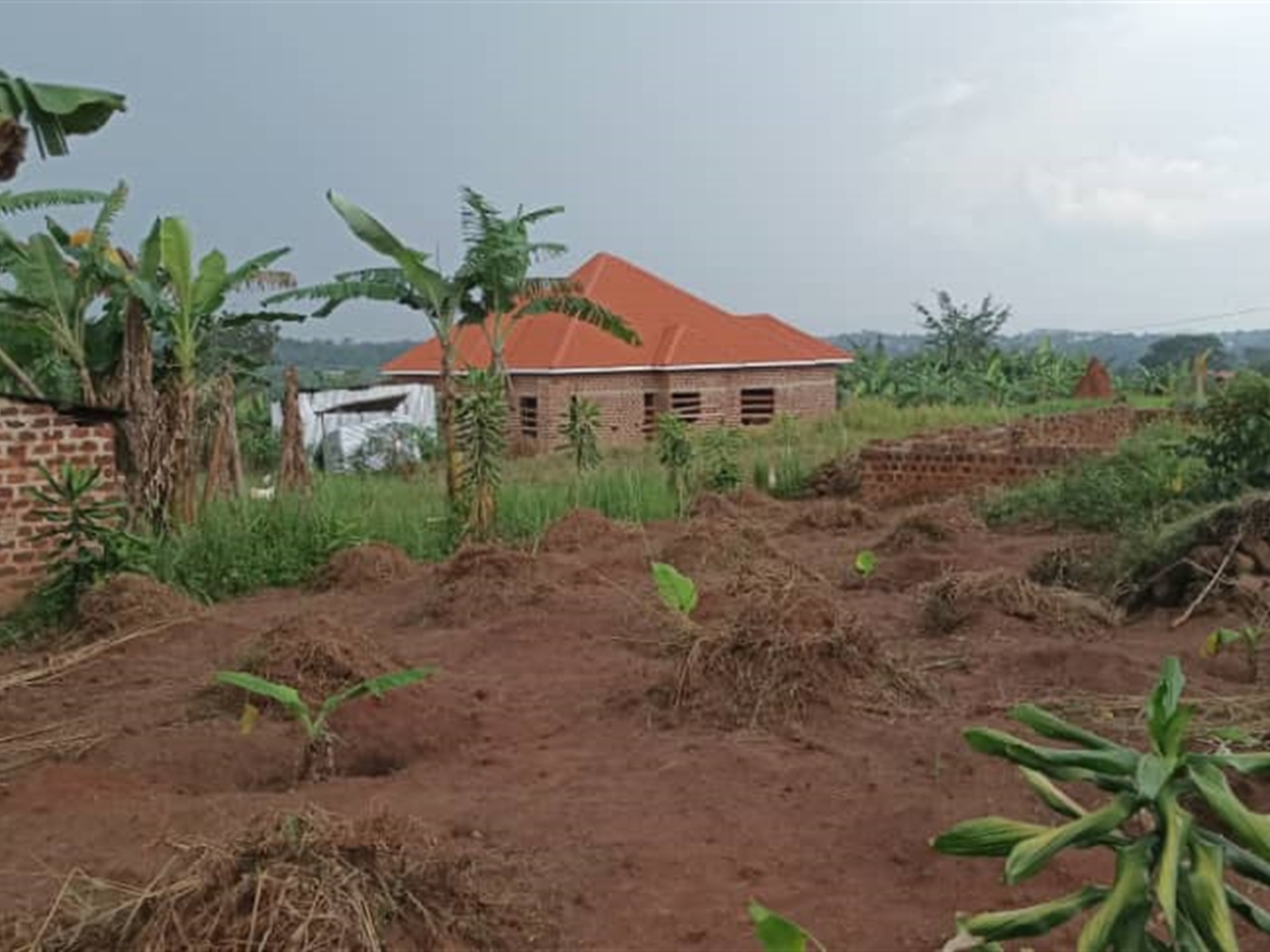 Residential Land for sale in Namulonge Wakiso