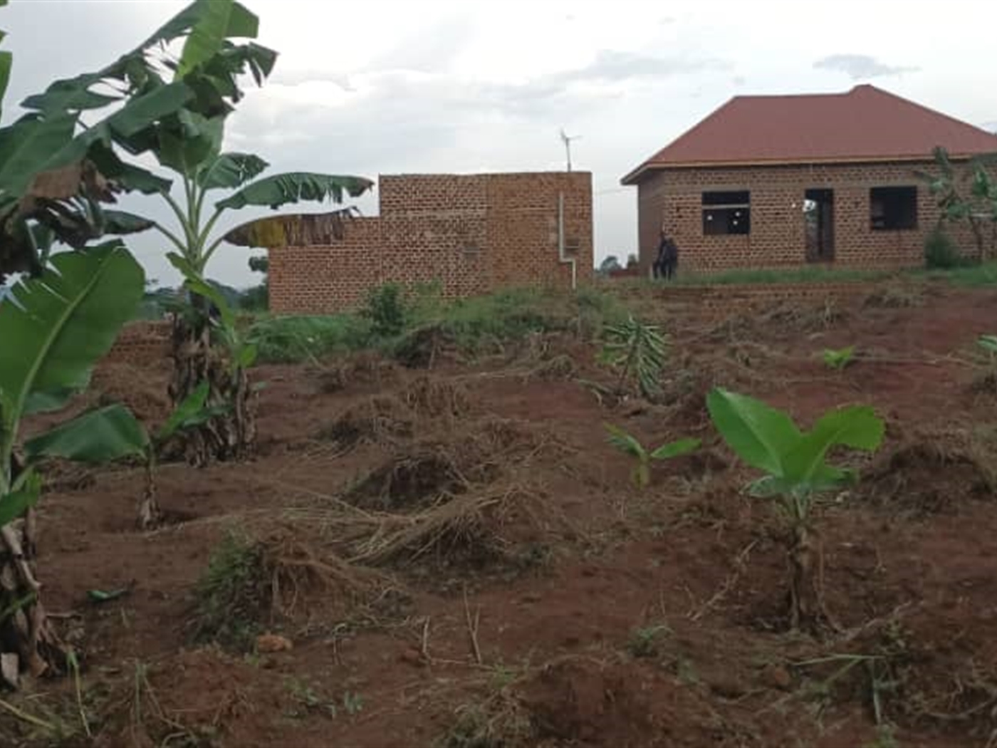 Residential Land for sale in Namulonge Wakiso