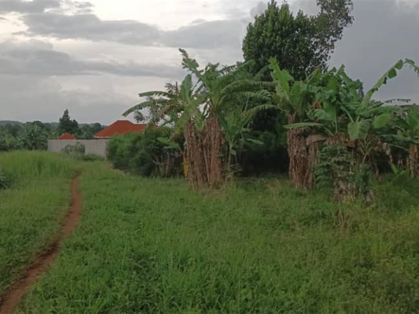 Residential Land for sale in Namulonge Wakiso