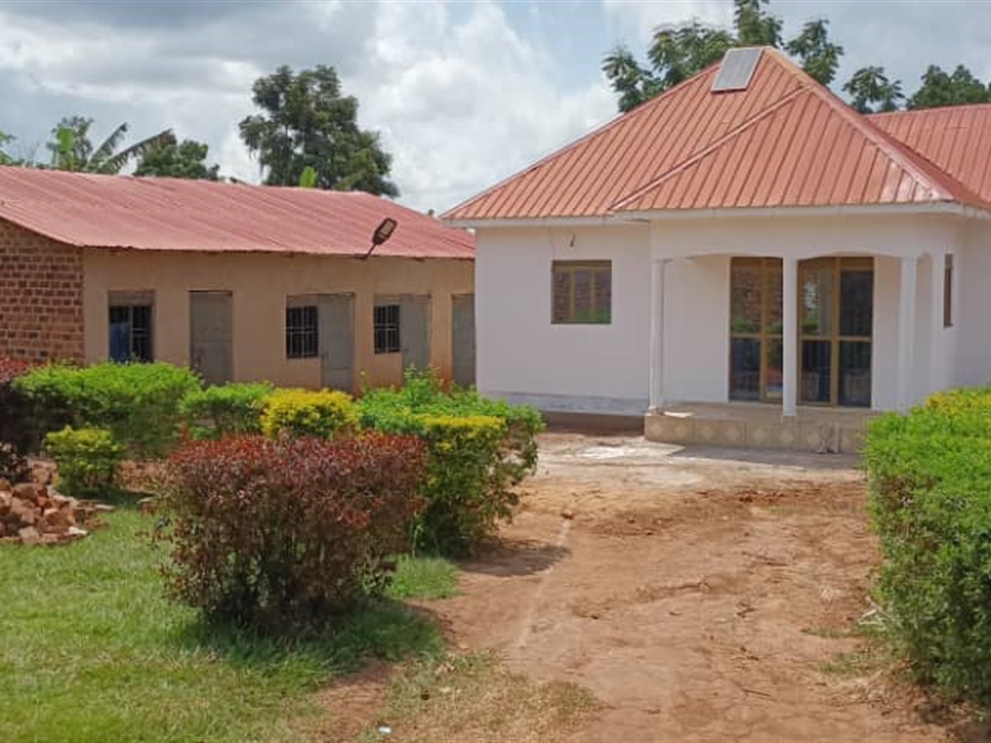 Bungalow for sale in Namulonge Wakiso