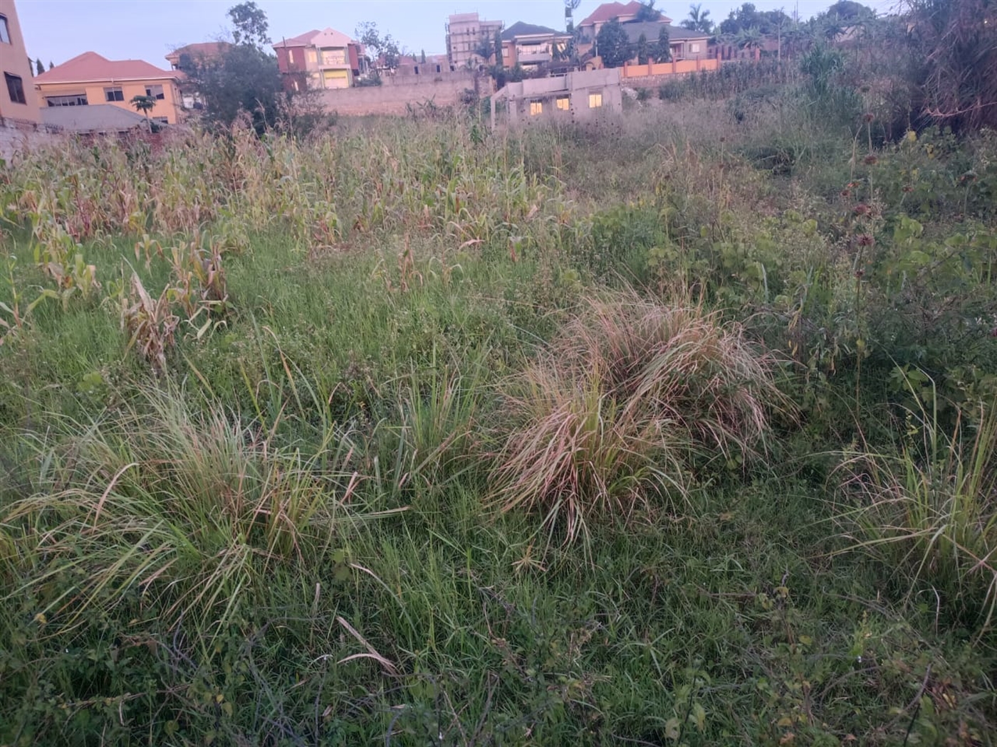 Residential Land for sale in Bulindo Wakiso