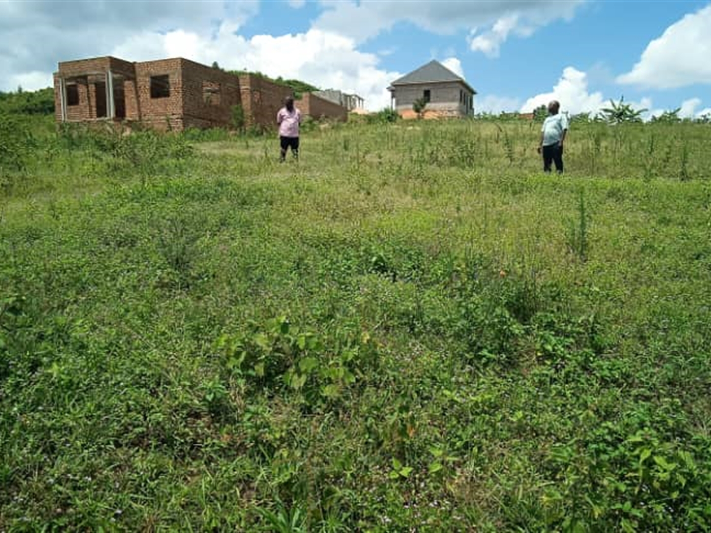 Residential Land for sale in Kiwenda Wakiso