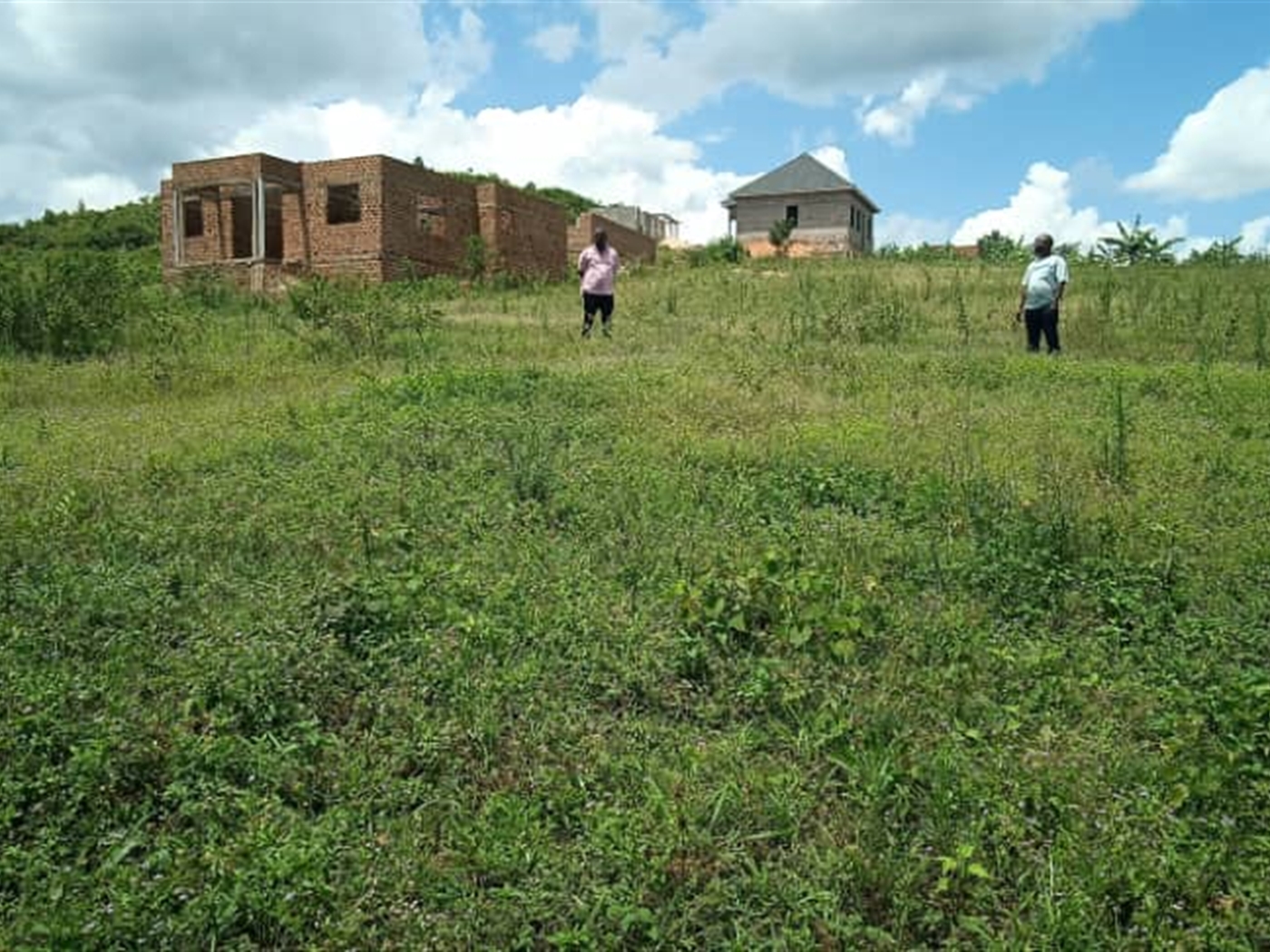 Residential Land for sale in Kiwenda Wakiso