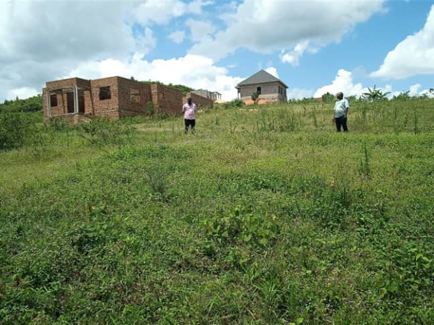 Residential Land for sale in Kiwenda Wakiso