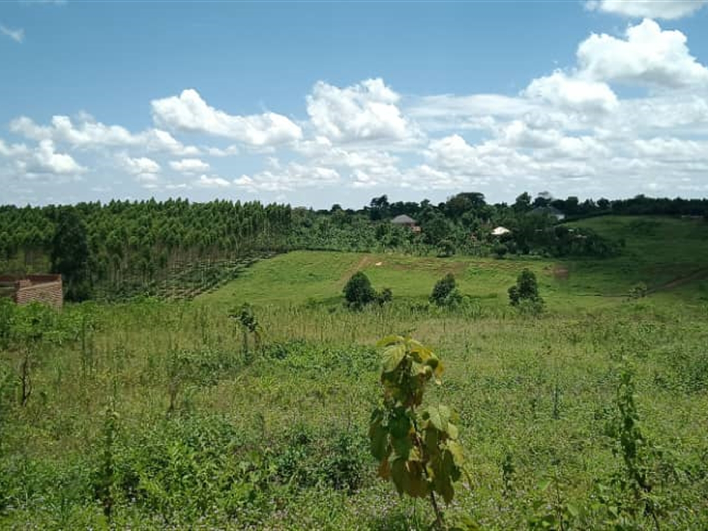 Residential Land for sale in Kiwenda Wakiso