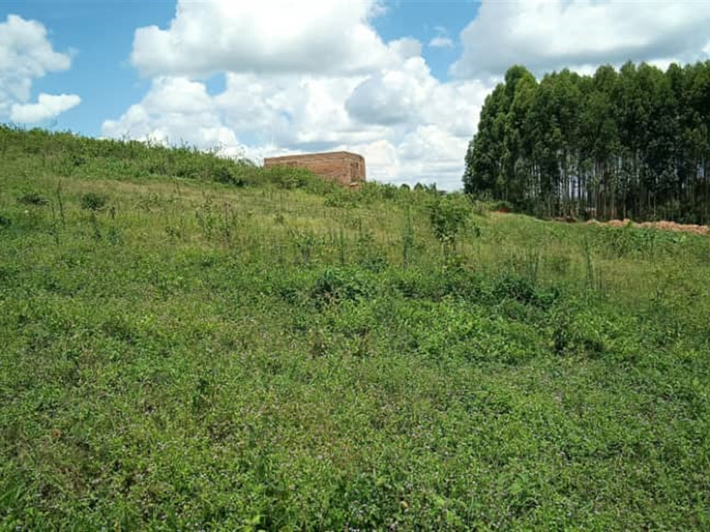 Residential Land for sale in Kiwenda Wakiso