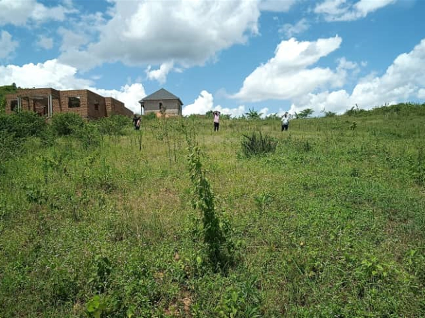 Residential Land for sale in Kiwenda Wakiso