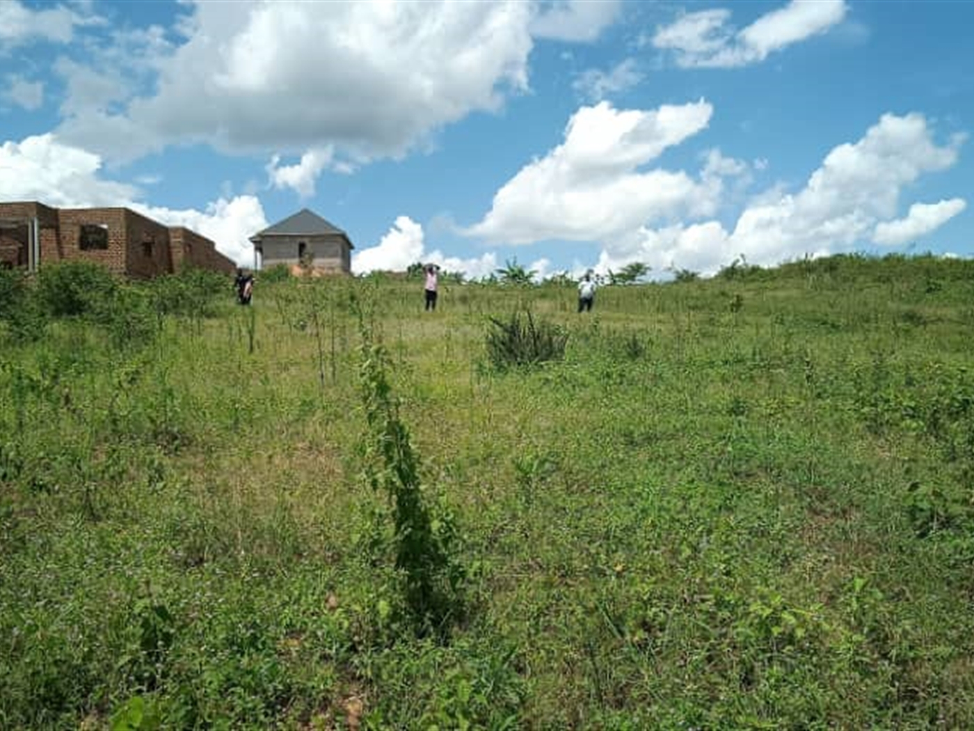 Residential Land for sale in Kiwenda Wakiso