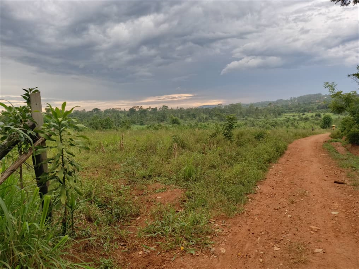 Residential Land for sale in Kigoogwa Wakiso