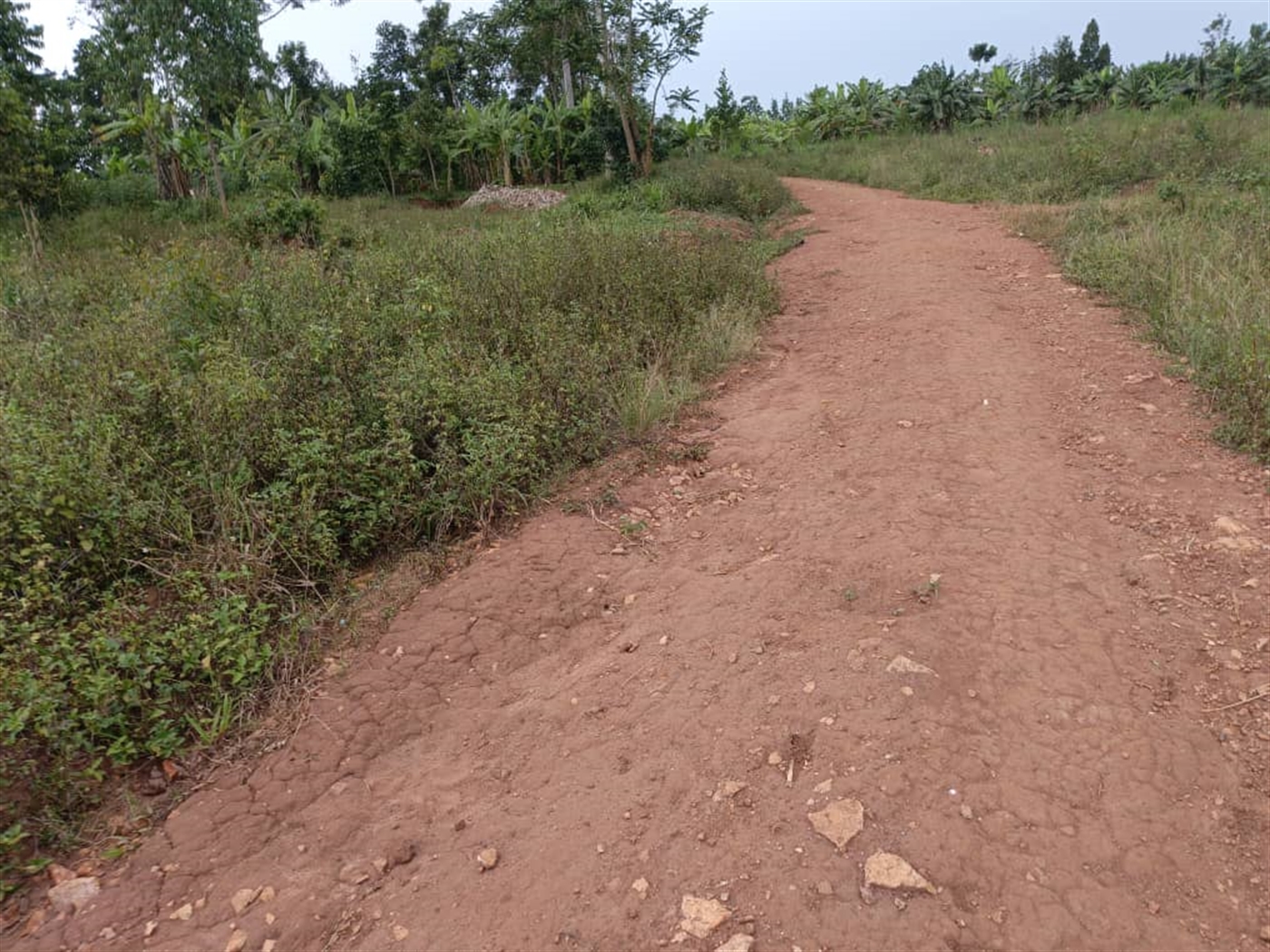 Residential Land for sale in Kigoogwa Wakiso