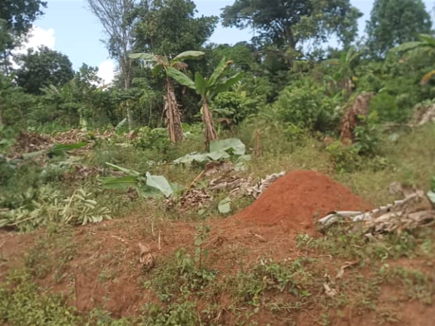 Residential Land for sale in Kiwenda Wakiso